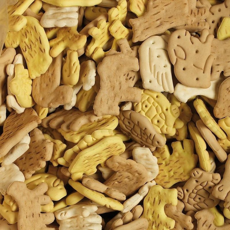 Луна Пет Шоп