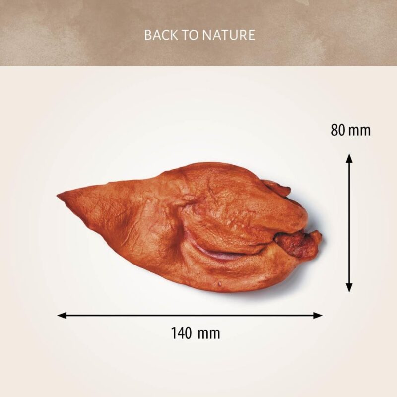 Луна Пет Шоп