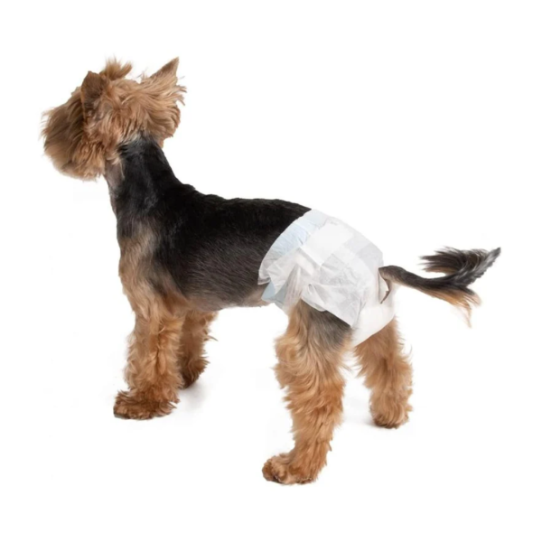 Alternative view of Croci Памперс за облекување за кучиња