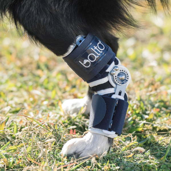 BALTO Flexor протеза за нозе за куче