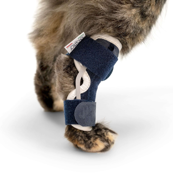 BALTO Hock Cats ортопедско помагало за скочен зглоб за мачка