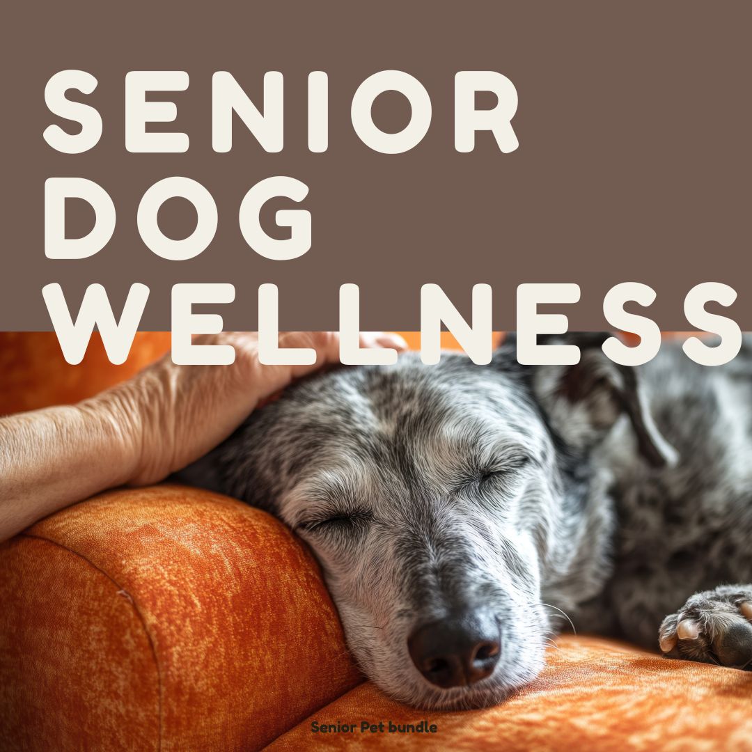 Сениор сет на производи Senior Dog Wellness