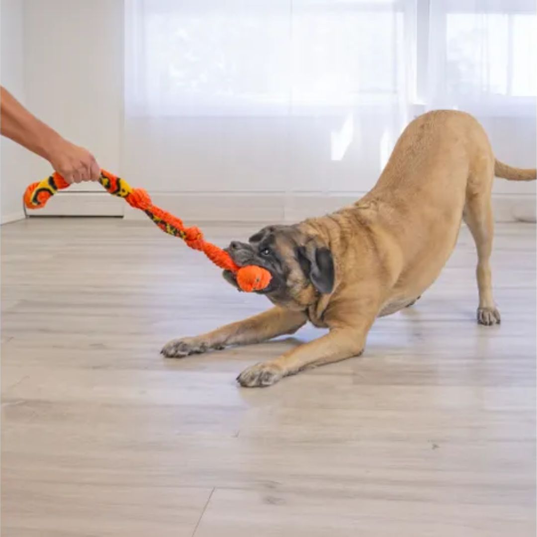 KONG Knots Snake играчка за влечење змија - Image 2