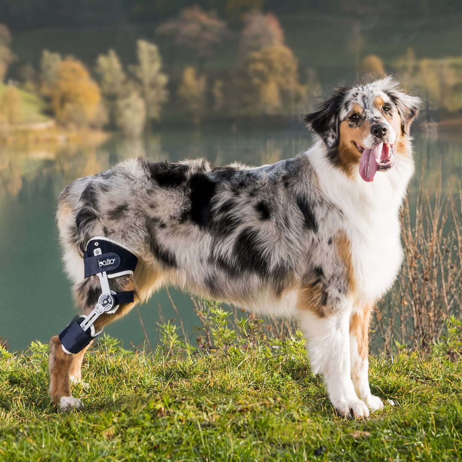 BALTO Ligatek Ортопедска протеза за колено и клучни лигаменти - Image 4