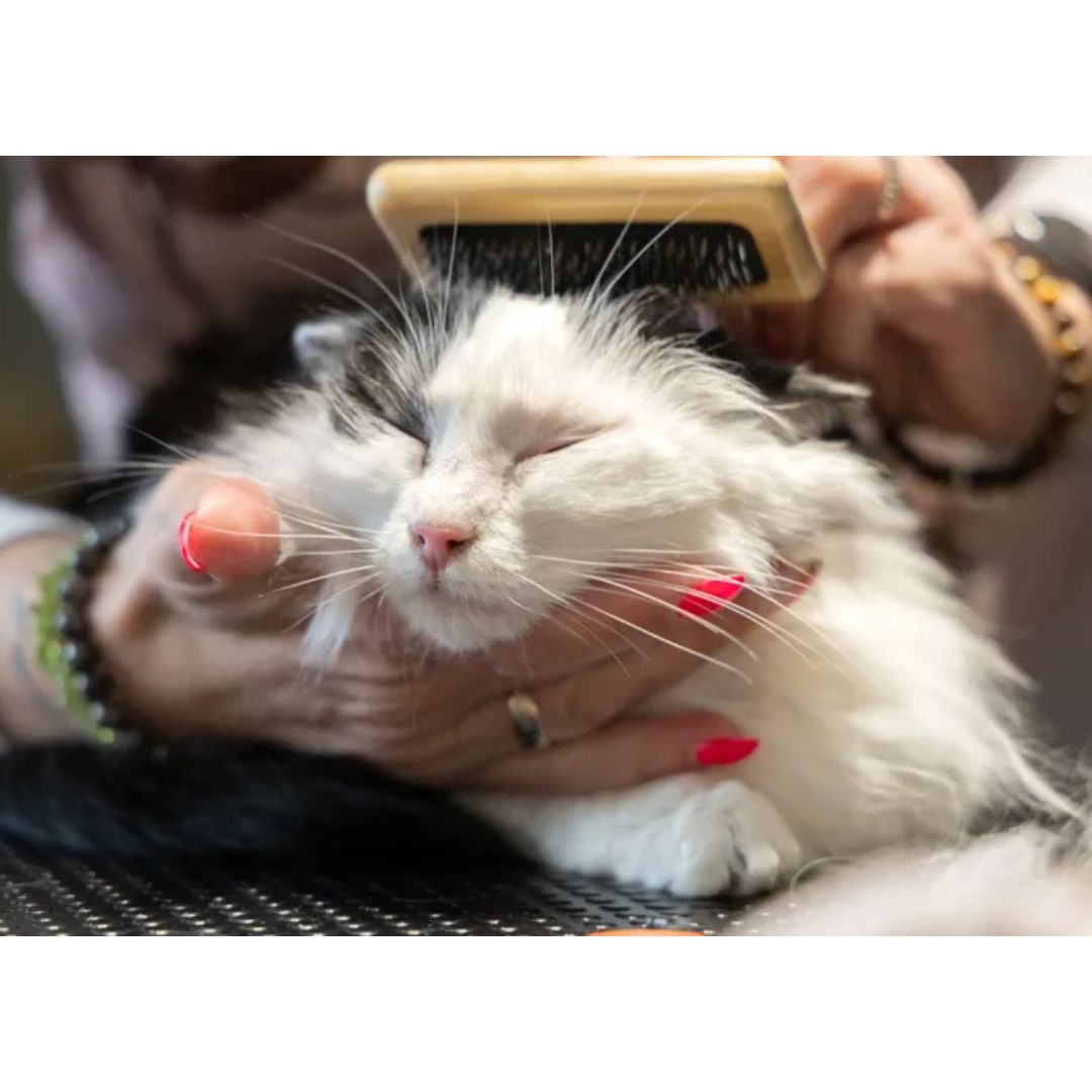 Flamingo Babu бамбус сликер четка за груминг за маче - Image 3