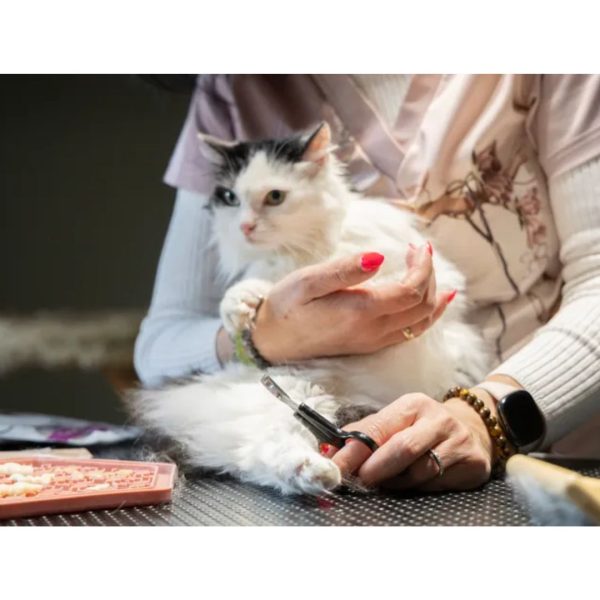 Alternative view of Flamingo Franco мали ножици за сечење на нокти