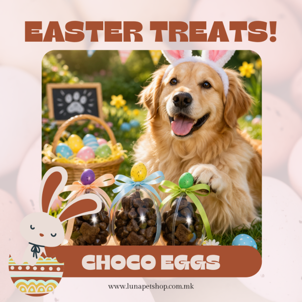 Велигденско чоко јајце за кучиња