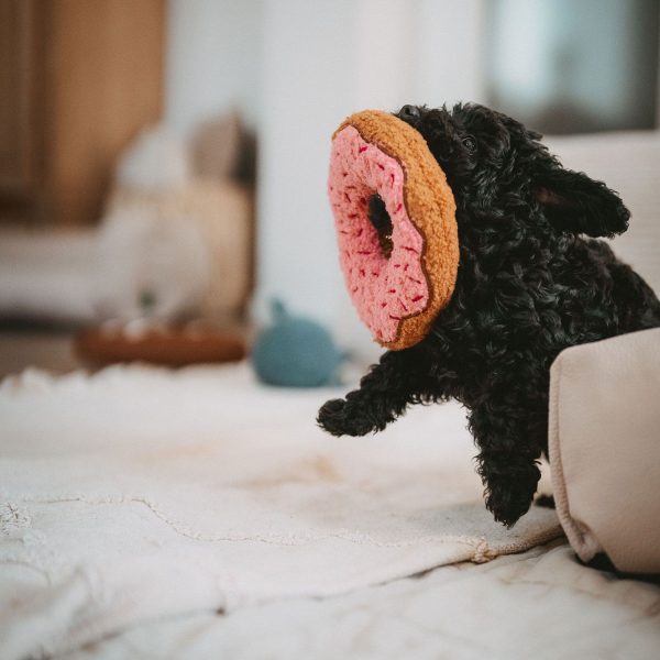 hunter-belem-donut-plisana-igracka-so-jaze-za-kucinja-16cm.jpg