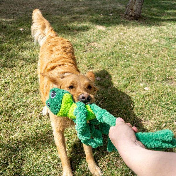 kong-knots-frog-igracka-za-kucinja.jpg