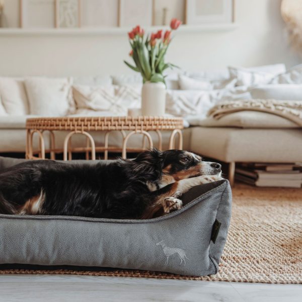 hunter-merida-antracit-ortopedska-sofa-za-kucinja.jpg