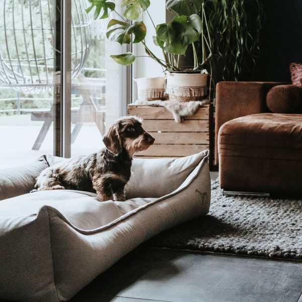 hunter-merida-taupe-ortopedska-sofa-za-kucinja.jpg