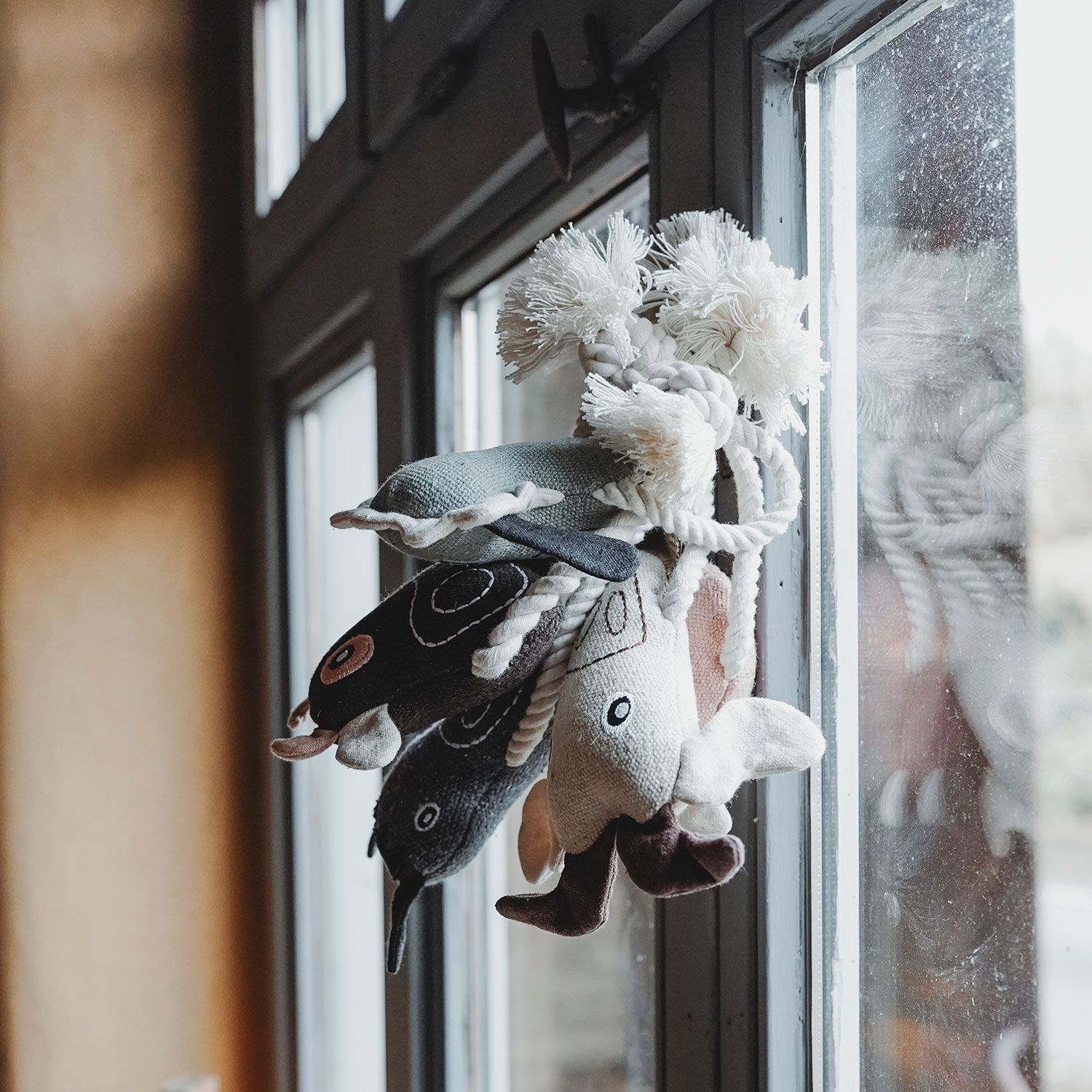 hunter-nebraska-sheep-igracka-za-kucinja-so-jazhe.jpg