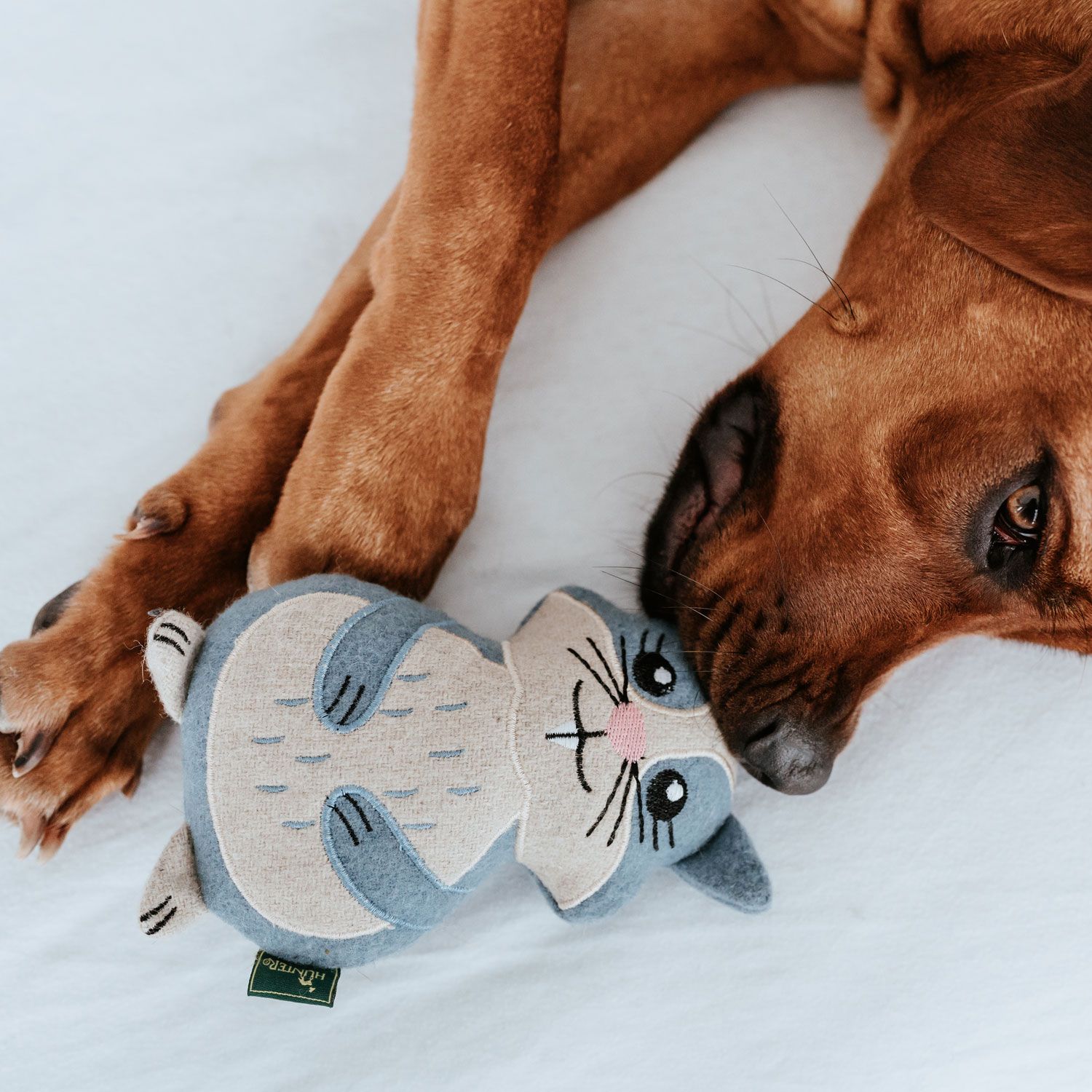 hunter-fyn-hamster-igracka-za-kucinja.jpg