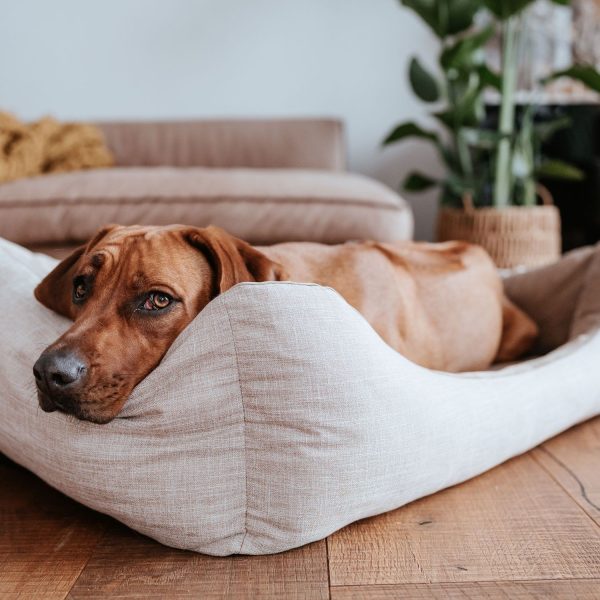 hunter-seattle-kafena-ortopedska-sofa-za-kucinja.jpg